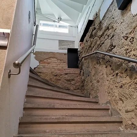 Bs16